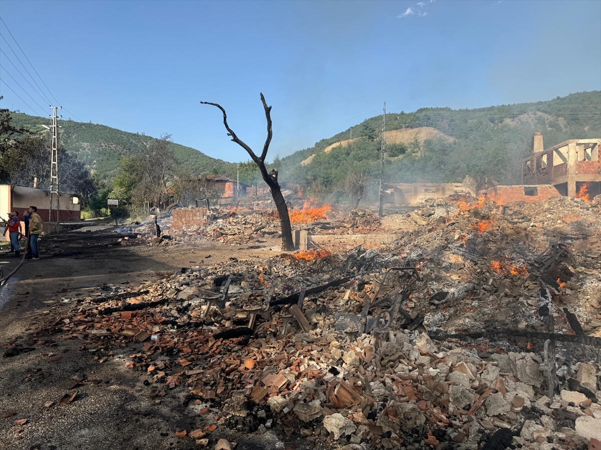 Kastamonu'da köyde çıkan yangında 10 ev yandı