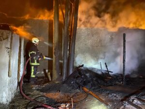 KAYSERİ (AA) – Kayseri'nin Melikgazi ilçesinde müstakil bir evin bahçesinde