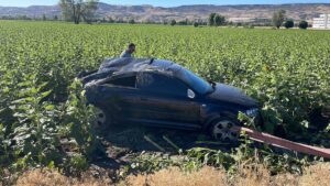 KAYSERİ (AA) – Kayseri'nin Kocasinan ilçesinde takla atarak ayçiçeği tarlasına