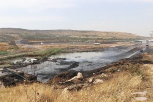 KİLİS (AA) – Kilis Organize Sanayi Bölgesi (OSB) içerisindeki otluk