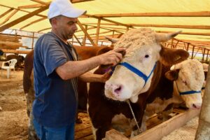 KOCAELİ (AA) – Kocaeli'nin Gebze ilçesinde toplam ağırlıkları yaklaşık 3