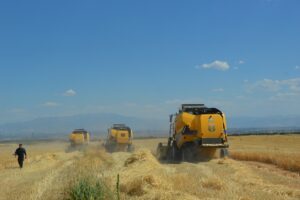 MALATYA (AA) – Malatya'nın Yazıhan ilçesinde Tarım ve Orman İl