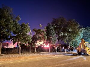 MANİSA (AA) – Manisa'nın Akhisar ilçesinde eski sigara fabrikasının yerleşkesinde