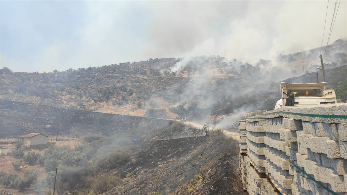Manisa'da tarım alanında etkili olan yangına müdahale ediliyor