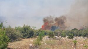 MANİSA (AA) – Manisa'nın Kula ilçesinde çıkan orman yangınına havadan