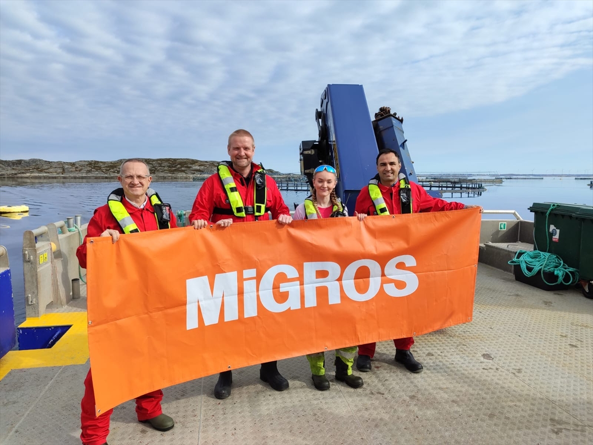 Migros, Norveç somonu alımlarını üçe katlamayı planlıyor