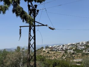 MUĞLA (AA) – Muğla'nın Milas ilçesinde sitelerin olduğu makilik alanda