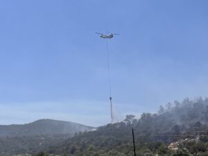 MUĞLA (AA) – Muğla'nın Milas ilçesinde çıkan yangında yaklaşık 3