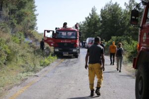 MUĞLA (AA) – Muğla'nın Milas ilçesinde çıkan yangında 2 hektar