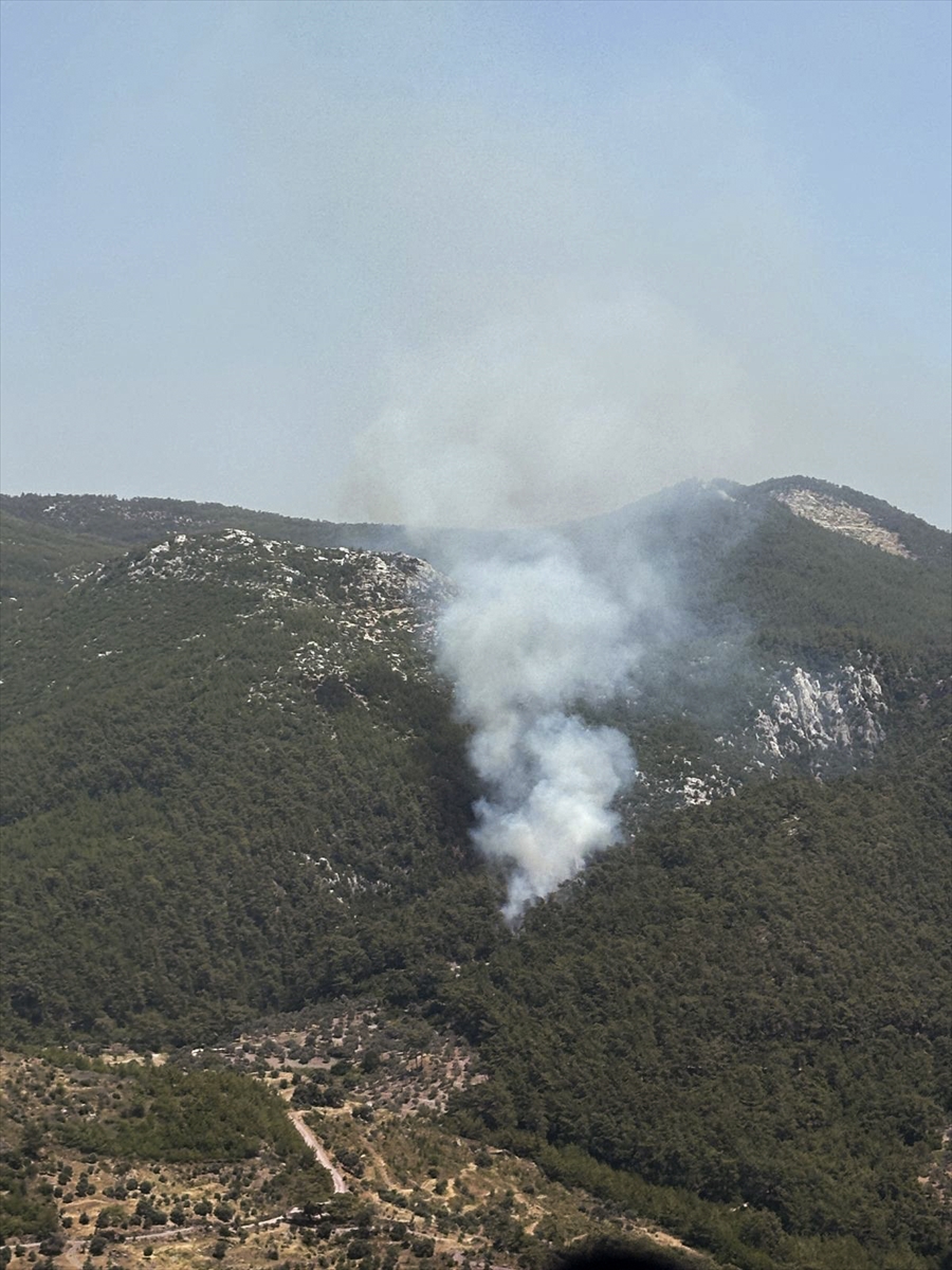 MUĞLA (AA) – Muğla'nın Milas ilçesinde çıkan orman yangınına havadan