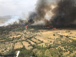 MUĞLA (AA) – Muğla'nın Milas ilçesinde çıkan orman yangınına havadan