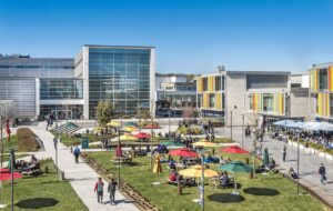 İSTANBUL (AA) – Özyeğin Üniversitesi, Londra merkezli yükseköğretim derecelendirme kuruluşu