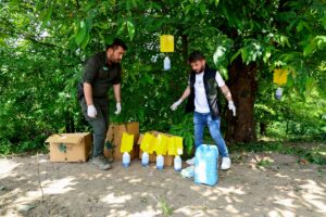 SAKARYA (AA) – Sakarya'nın Kocaali ve Hendek ilçeleri arasındaki Çam