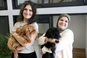 - Şehir dışına çıkacak ve evcil hayvanlarını bırakacak yerleri olmayan