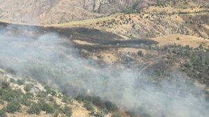 SİİRT (AA) – Siirt'in Şirvan ilçesinde meşelik alanda çıkan yangın