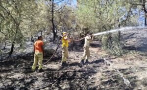SİNOP (AA) – Sinop'un Saraydüzü ilçesinde çıkan orman yangını söndürüldü.