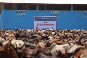 KAMPALA (AA) – Türkiye Diyanet Vakfı (TDV), Uganda'daki ihtiyaç sahiplerine