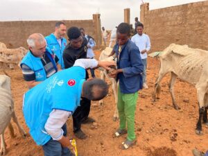 NİAMEY (AA) – Türkiye Diyanet Vakfının (TDV), vekaletle kurban organizasyonu