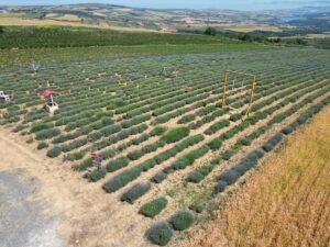 TEKİRDAĞ (AA) – Tekirdağ'da son yıllarda yerli ve yabancı turistlerin