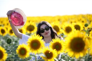 KIRKLARELİ (AA) – ÖZGÜN TİRAN – Türkiye'nin ayçiçeği ihtiyacının önemli