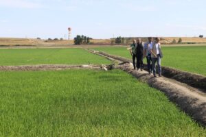 EDİRNE (AA) – Edirne'de, Tunca Nehri'ndeki su seviyesinin düşmesi nedeniyle