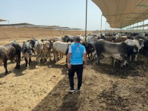 KAHİRE (AA) – LEVENT HARMAN – Türkiye Diyanet Vakfı (TDV),