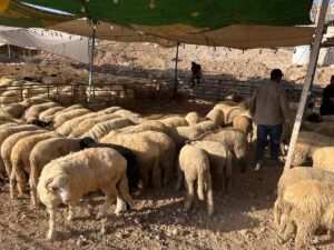 AMMAN (AA) – Ürdün'de bu yıl, İsrail'in Gazze Şeridi'ne saldırılarının