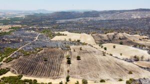UŞAK (AA) – Uşak'ta önceki akşam çıkan ve 40. saatinde