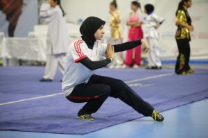 SAKARYA (AA) – UĞUR SUBAŞI – Wushunun "altın ailesi" Akyüzlerin