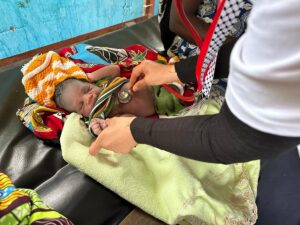 SİDO (AA) – Yeryüzü Doktorları Derneği gönüllüsü, Kurban Bayramı için