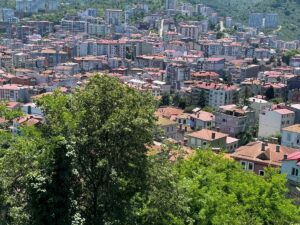 GİRESUN (AA) – ATAKAN ÇITLAK – Giresun'un Zeytinlik semtinde, 19.