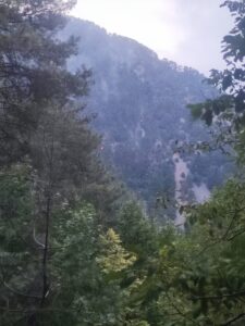 EKİP SAYISI EKLENDİ