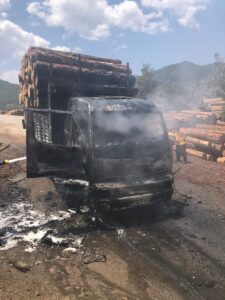 ADANA (AA) – Adana'nın Feke ilçesinde, orman deposundaki tomruk yüklü