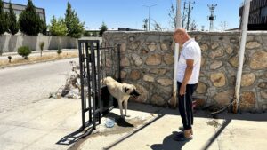 ADIYAMAN (AA) – Adıyaman'ın Kahta ilçesinde demir kapının parmaklıklarına sıkışan