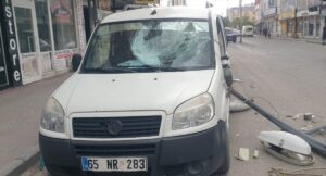 AĞRI (AA) – Ağrı'nın Patnos ilçesinde şiddetli rüzgar nedeniyle ağaçlar