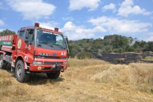 AMASYA (AA) – Amasya'nın Gümüşhacıköy ilçesinde, buğday ekili arazide çıkan
