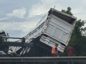 - Sürücü tedbir amaçlı hastaneye götürülürken, 6 büyükbaş hayvan telef