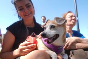 ANKARA (AA) – Bir grup hayvansever, sahipsiz hayvanlara yönelik "Hayvanları
