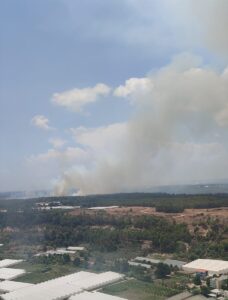 ANTALYA (AA) – Antalya’nın Aksu ilçesinde ormanlık alanda çıkan yangına