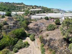 ​​​​​​​ANTALYA (AA) – Antalya'nın Gazipaşa ilçesinde çıkan yangında yaklaşık 2