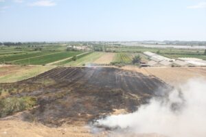 ANTALYA (AA) – Antalya'nın Serik ilçesinde çıkan yangında zeytin ve