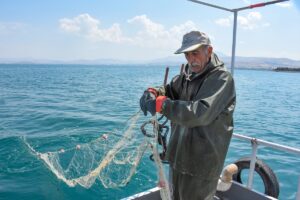 VAN (AA) – Van'da balıkçılar, inci kefali av yasağının sona