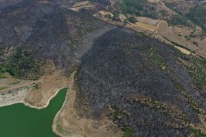 BALIKESİR (AA) – Balıkesir'in Altıeylül ilçesinde arazide başlayarak ormana sıçrayan