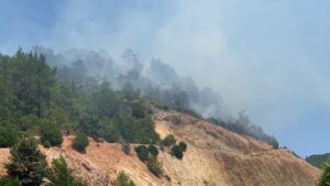 BALIKESİR (AA) – Balıkesir'in Havran ilçesinde çıkan orman yangınını söndürmek