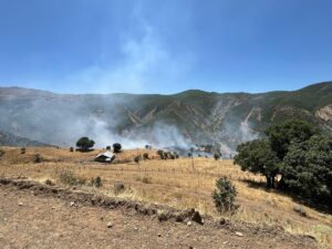 BİNGÖL (AA) – Bingöl'ün Genç ile Kiğı ilçelerinde çıkan orman