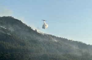 MUĞLA (AA) – Muğla'nın Bodrum ilçesinde önceki gün çıkan orman