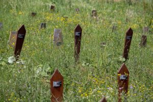 SARAYBOSNA (AA) – VESNA BESİC – Bosna Hersek'teki savaşta öldürülen
