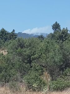 BURSA (AA) – Bursa'nın Orhaneli ilçesi ile Keles ilçesi arasındaki