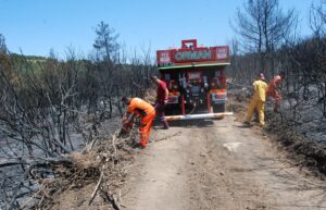 ÇANAKKALE (AA) – Çanakkale'nin Bayramiç ilçesinde, ekiplerin, tarım arazisinde çıkıp