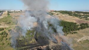 ÇORUM (AA) – Çorum'da 6 Şubat Deprem Şehitleri Hatıra Ormanı'nda